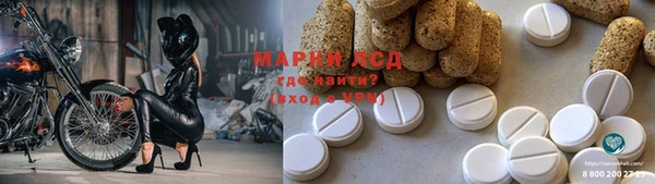 ПСИЛОЦИБИНОВЫЕ ГРИБЫ Алексин