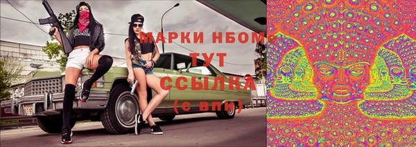ПСИЛОЦИБИНОВЫЕ ГРИБЫ Алексин