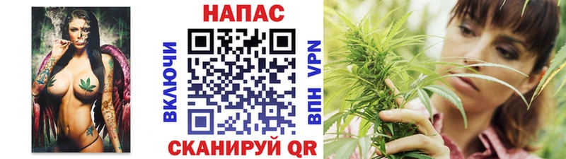 Марихуана конопля Гвардейск